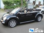 Volkswagen New Beetle